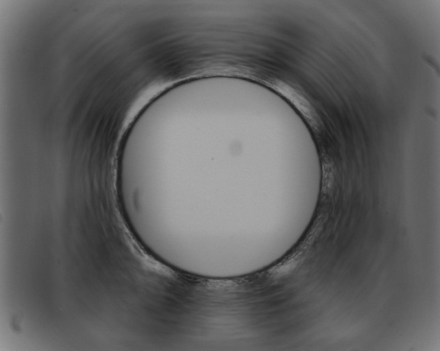 X0000093581094200710150952