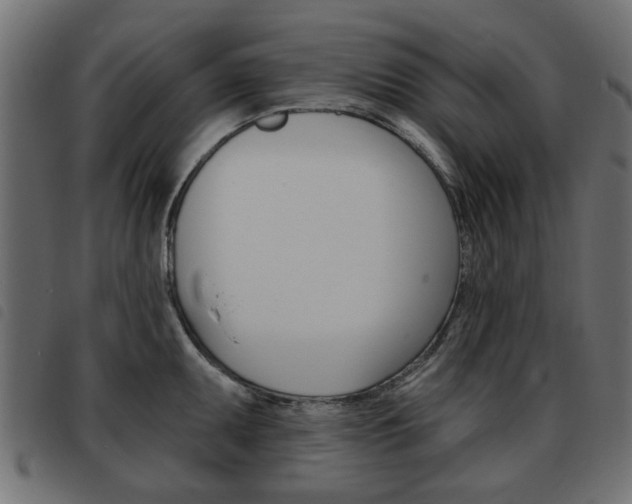 X0000093581095200710150952