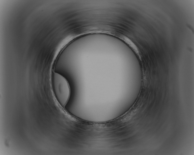 X0000093581096200710150952