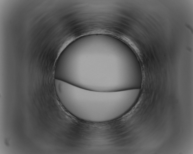 X0000093581097200710150952