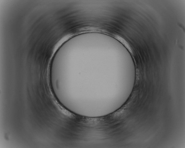 X0000093581098200710150952