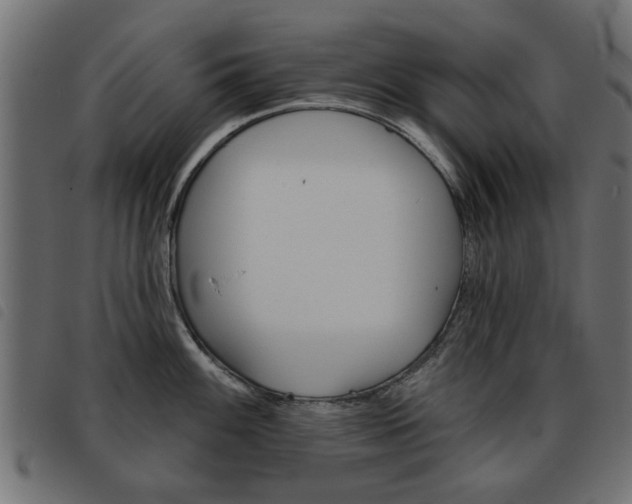 X0000093581100200710150952
