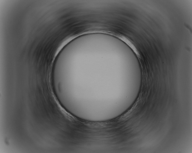 X0000093581101200710150952
