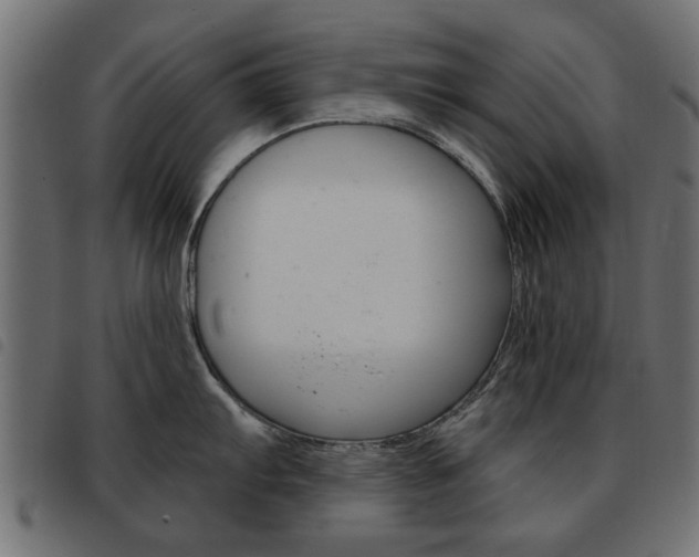 X0000093581103200710150952