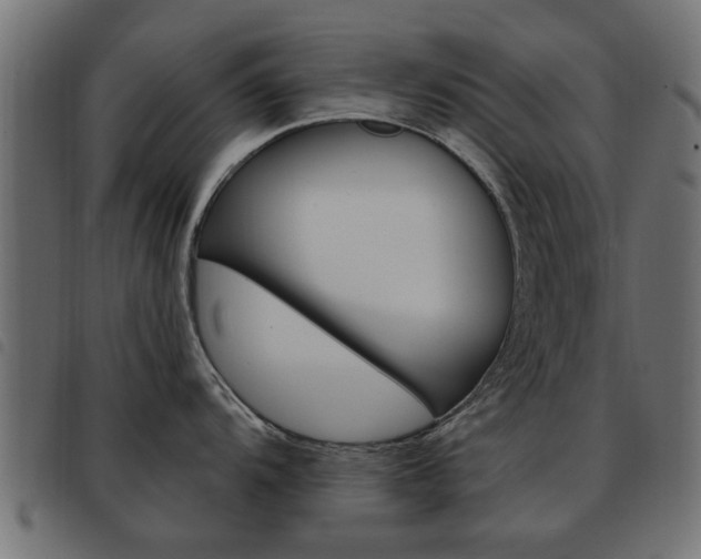 X0000093581104200710150952