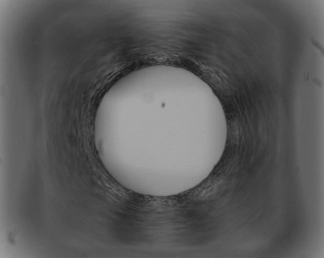 X0000093581105200710150952