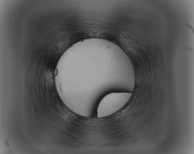 X0000093581106200710150952