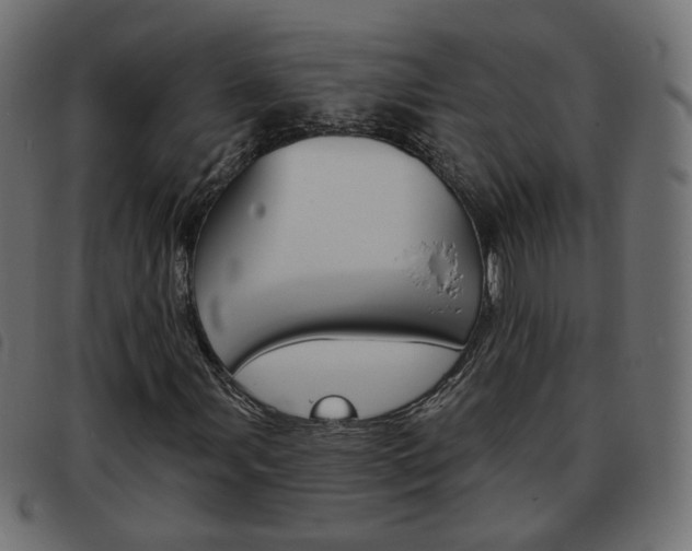 X0000093581107200710150952