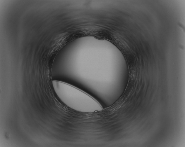 X0000093581108200710150952