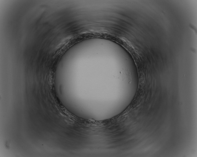 X0000093581110200710150952