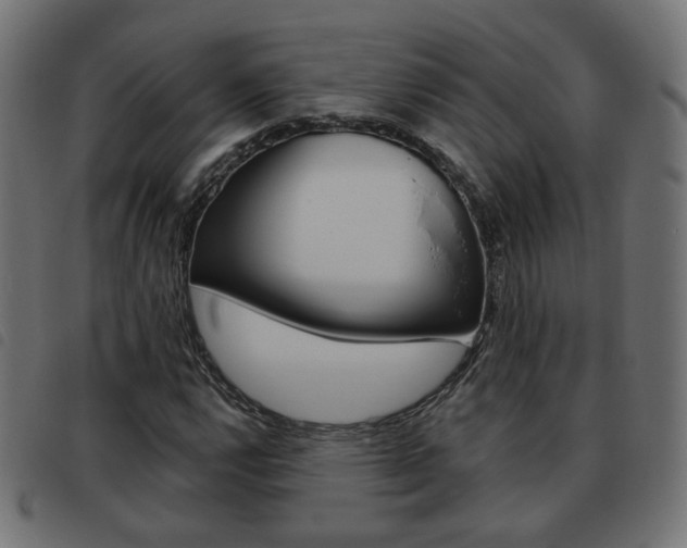 X0000093581112200710150952