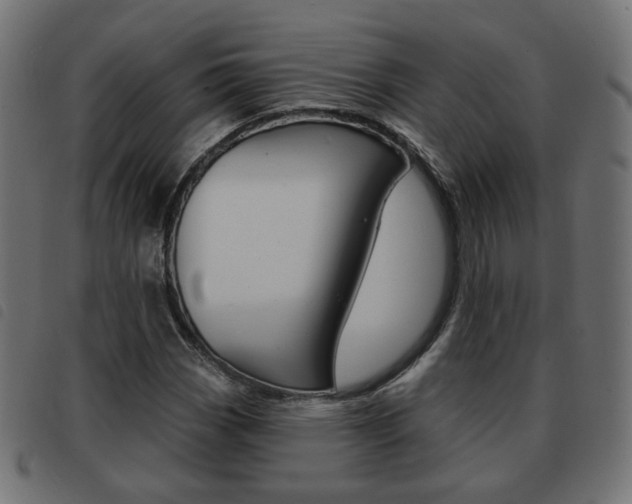 X0000093581113200710150952