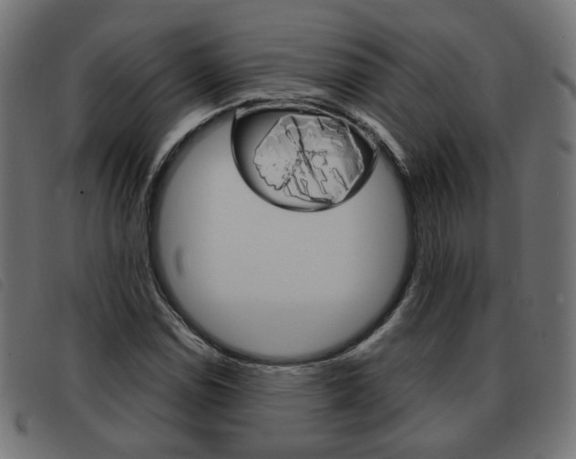 X0000093581114200710150952