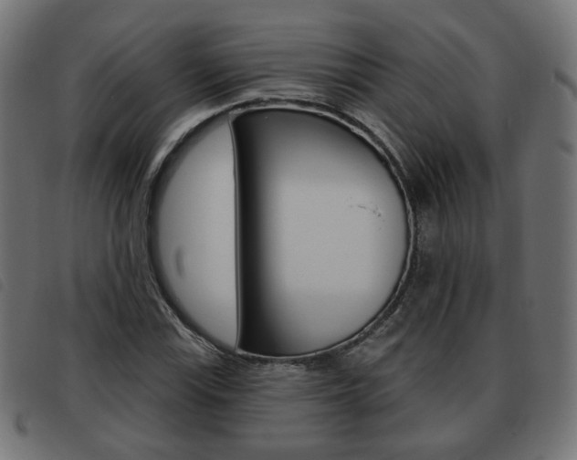 X0000093581115200710150952