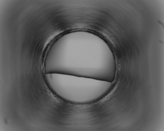 X0000093581117200710150952
