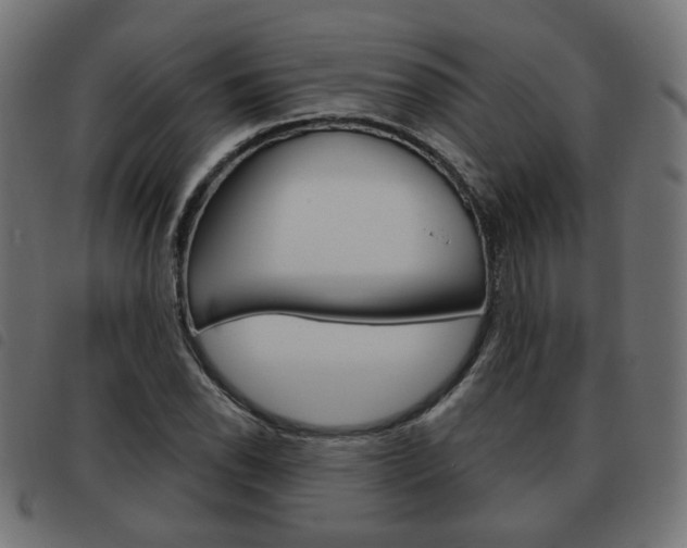 X0000093581118200710150952