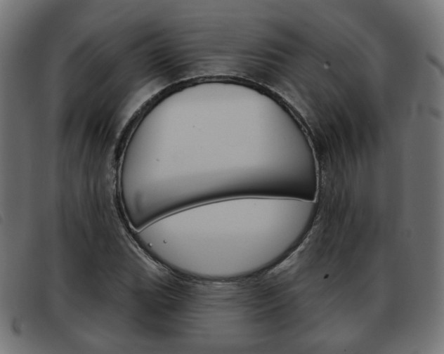 X0000093581119200710150952