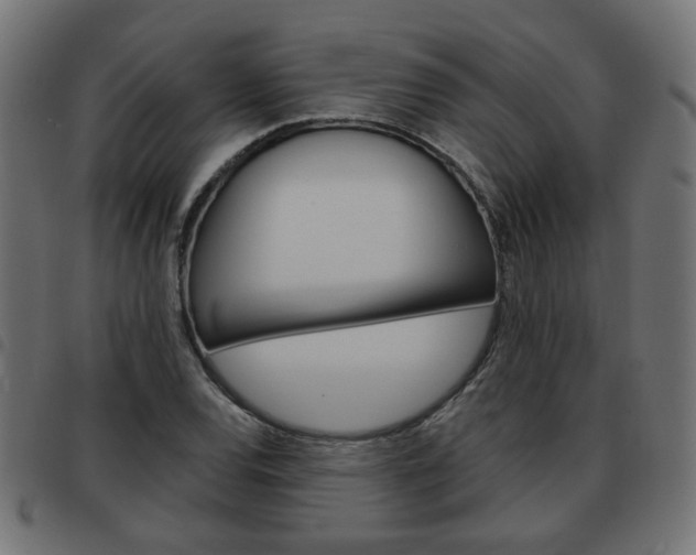X0000093581120200710150952