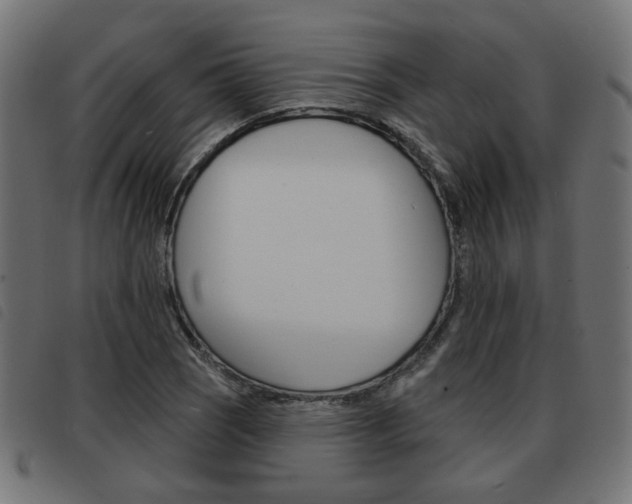 X0000093581121200710150952