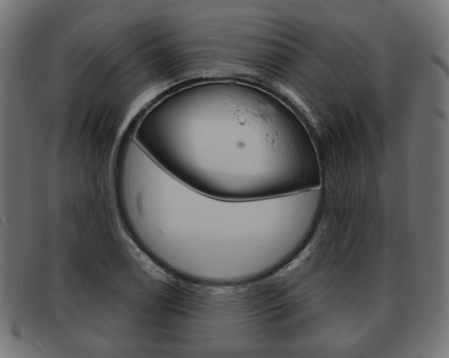 X0000093581122200710150952