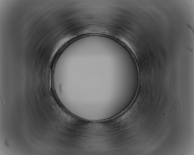 X0000093581123200710150952