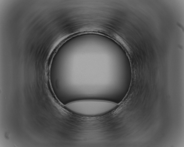 X0000093581124200710150952