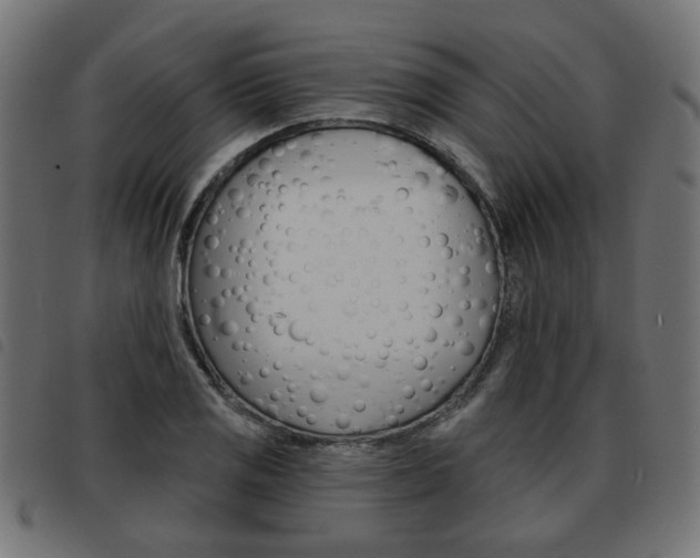 X0000093581125200710150952