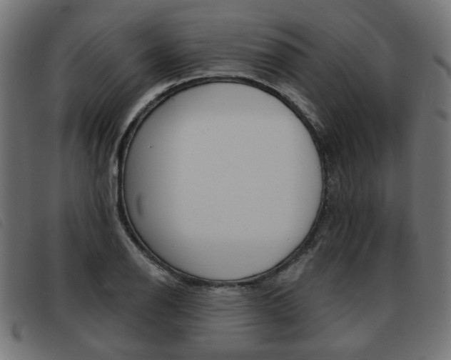 X0000093581126200710150952
