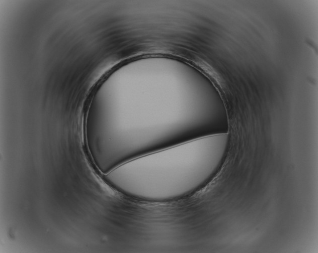 X0000093581127200710150952