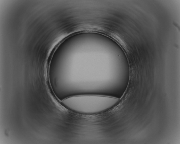 X0000093581128200710150952