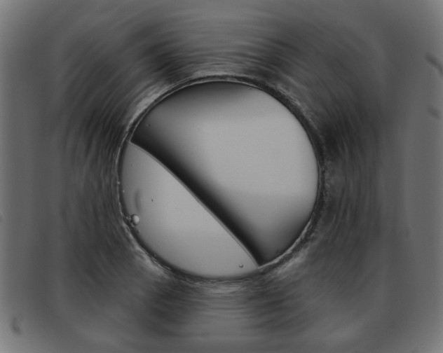 X0000093581129200710150952