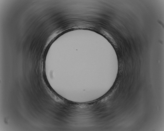 X0000093581130200710150952