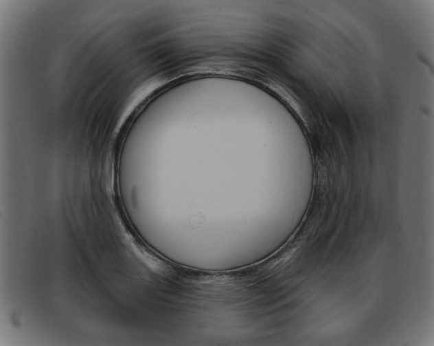 X0000093581131200710150952