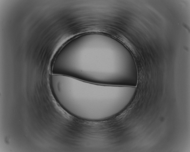 X0000093581132200710150952