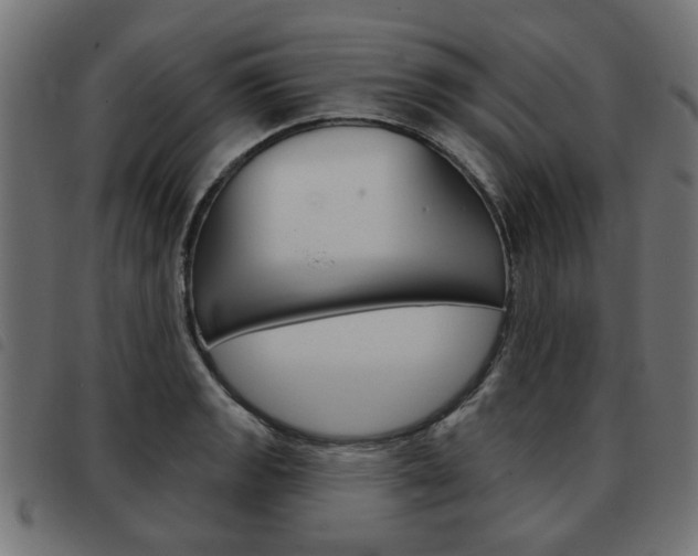 X0000093581133200710150952