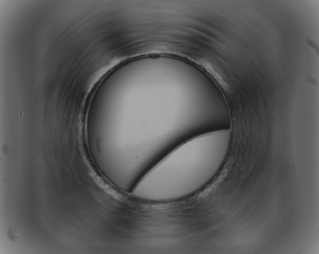 X0000093581134200710150952