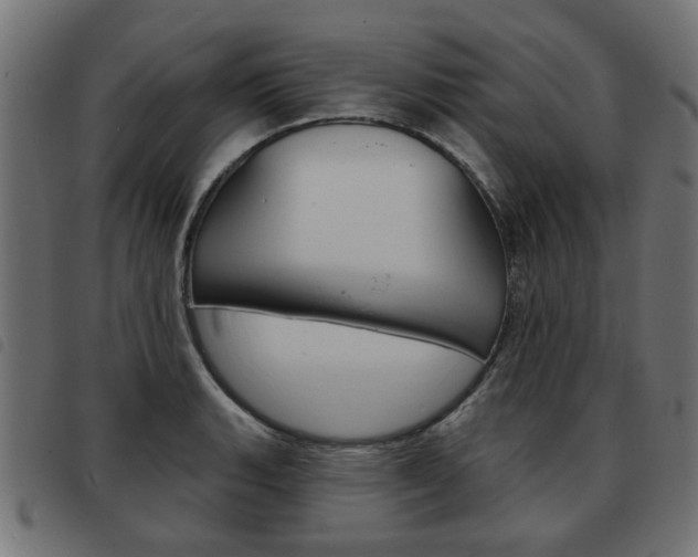 X0000093581135200710150952