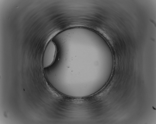 X0000093581137200710150952