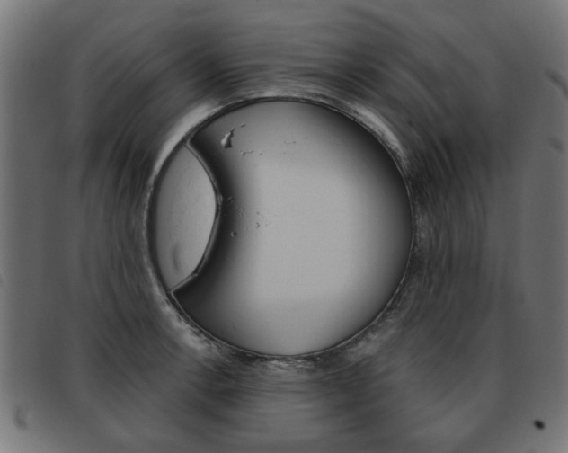 X0000093581138200710150952