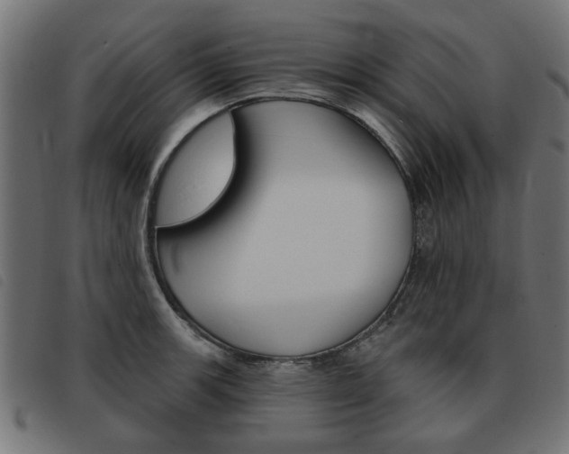 X0000093581139200710150952