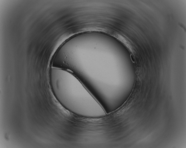 X0000093581140200710150952