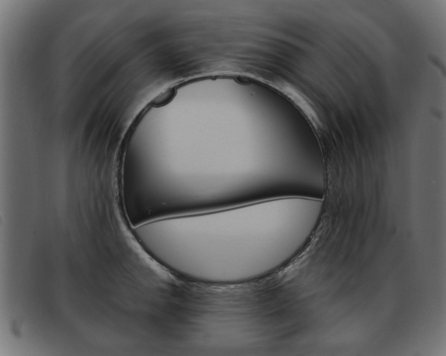 X0000093581142200710150952