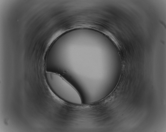 X0000093581143200710150952