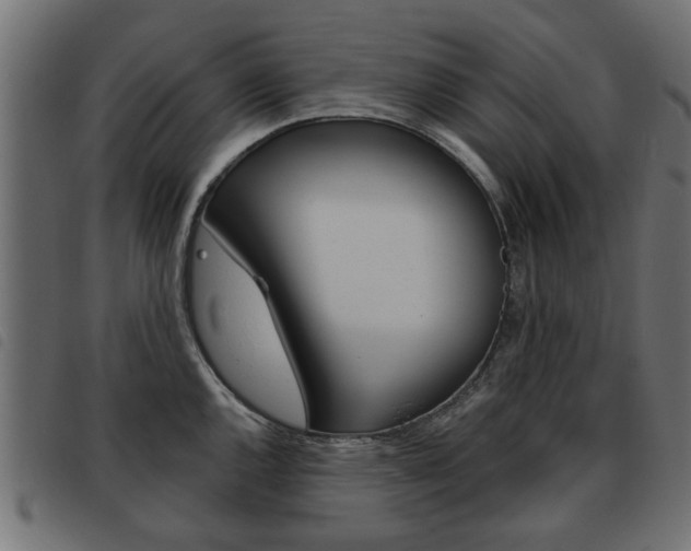 X0000093581144200710150952