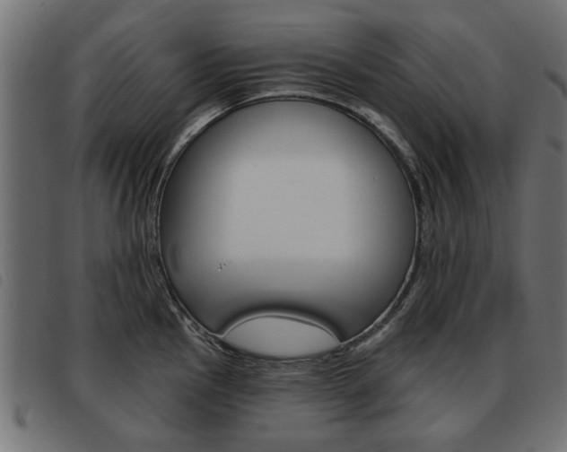 X0000093581145200710150952