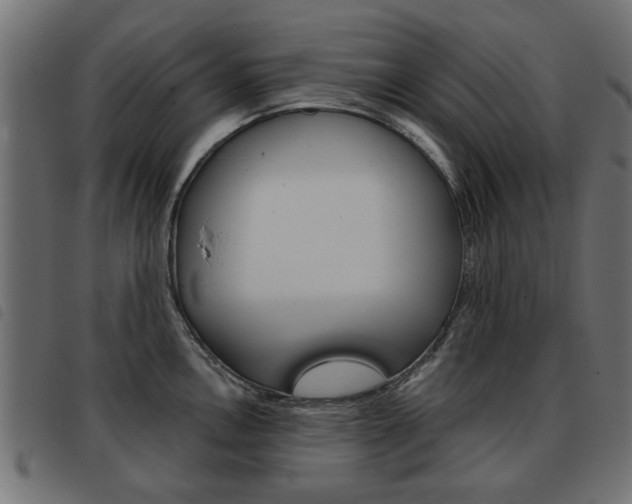 X0000093581146200710150952