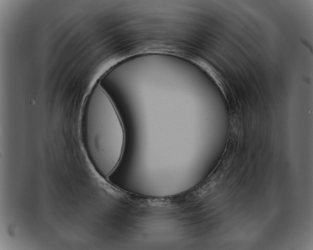 X0000093581147200710150952