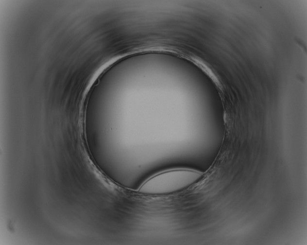 X0000093581148200710150952