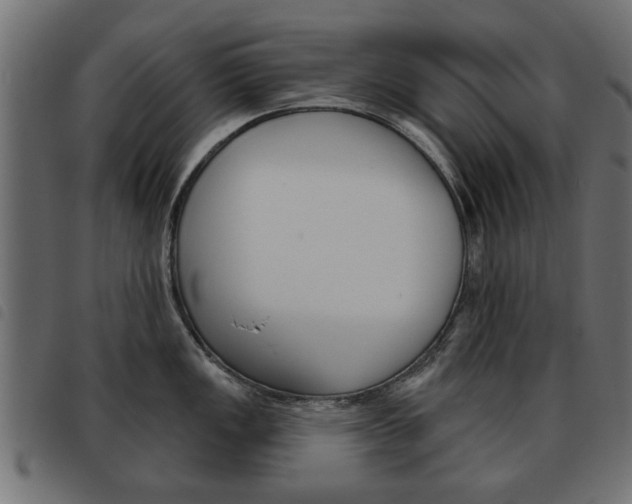 X0000093581149200710150952