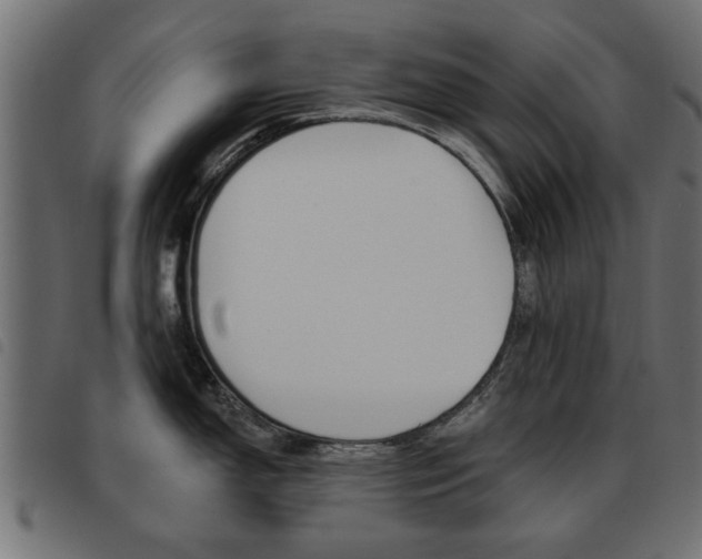 X0000093581150200710150952